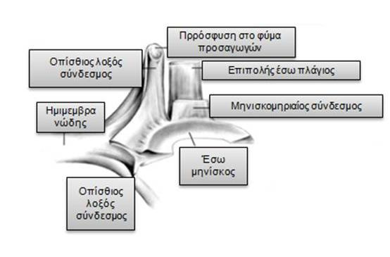 (36) Εικόνα 3.