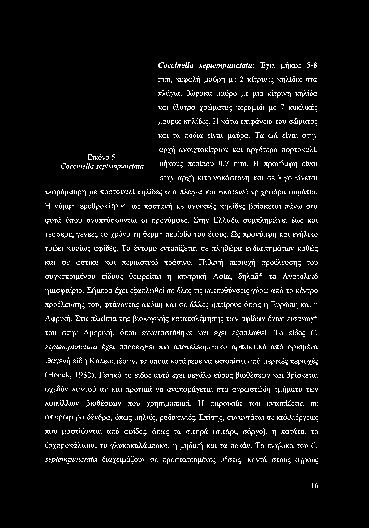 μαύρες κηλίδες. Η κάτω επιφάνεια του σώματος και τα πόδια είναι μαύρα. Τα ωά είναι στην αρχή ανοιχτοκίτρινα και αργότερα πορτοκαλί, μήκους περίπου 0,7 ιηιη.