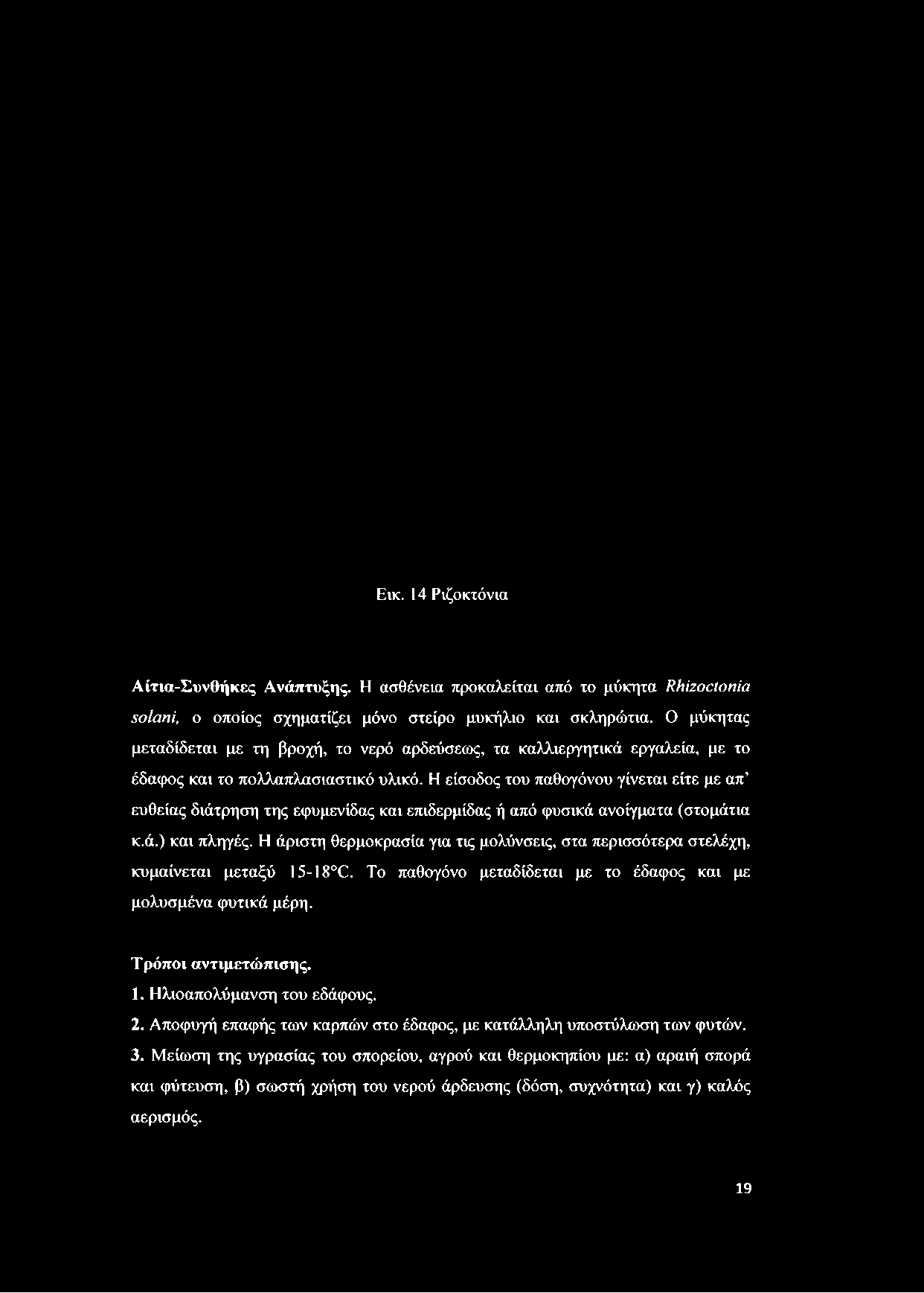 Ο μύκητας μεταδίδεται με τη βροχή, το νερό αρδεύσεως, τα καλλιεργητικά εργαλεία, με το έδαφος και το πολλαπλασιαστικό υλικό.