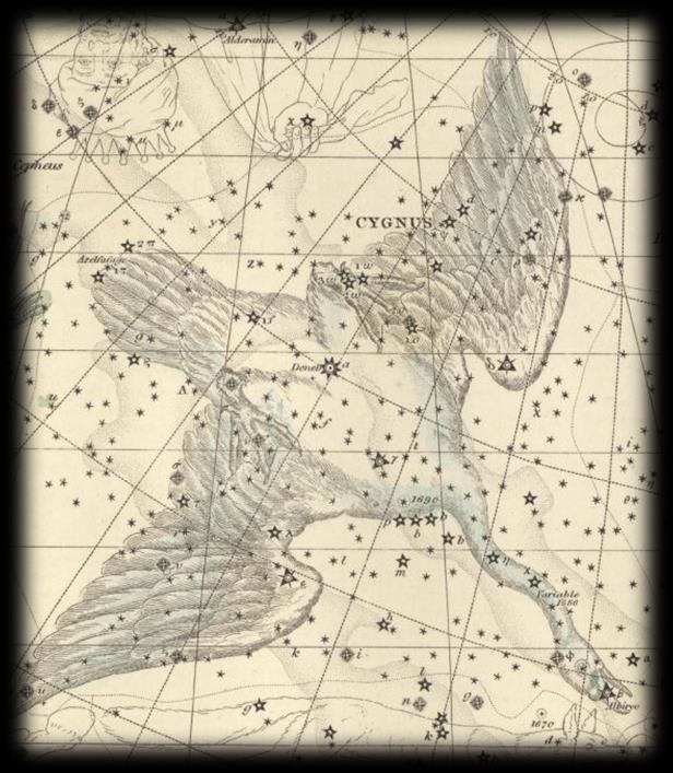 Κύκνος Cygnus Είναι αστερισμός που σημειώθηκε στην αρχαιότητα από τον Πτολεμαίο και είναι ένας από τους 88 επίσημους αστερισμούς που θέσπισε η Διεθνής Αστρονομική Ένωση.