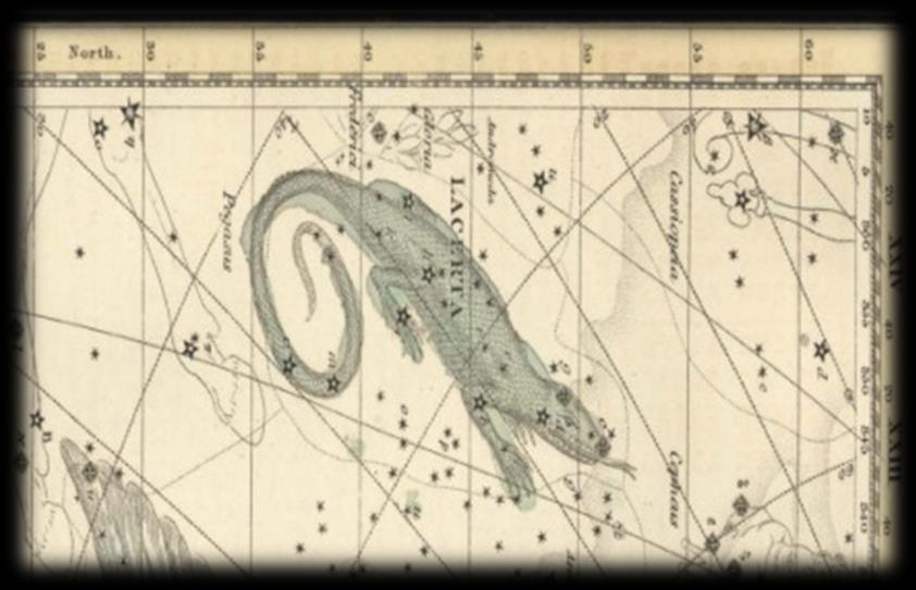 Σαύρα Lacerta (φαίνεται το Φθινόπωρο) Είναι αστερισμός που σημειώθηκε πρώτη φορά το 1690, στο Fimamentum Sodiescianum του Εβέλιου, και είναι ένας από τους 88 επίσημους αστερισμούς που θέσπισε η
