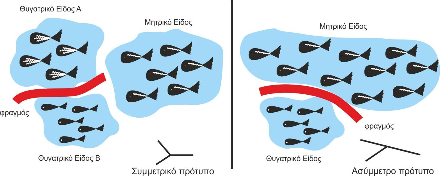 Από τα πρότυπα αυτά ειδογένεσης, το ευρύτερα αποδεκτό και παρατηρημένο είναι το αλλοπατρικό ή γεωγραφικό, με ιδιαίτερα μεγάλη εφαρμογή στην Παλαιοντολογία.