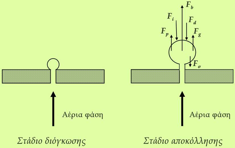 2. ΒΙΒΛΙΟΓΡΑΦΙΚΗ ΑΝΑΣΚΟΠΗΣΗ 10 Σχήμα 4: Στάδια διαδικασίας σχηματισμού φυσαλίδας.