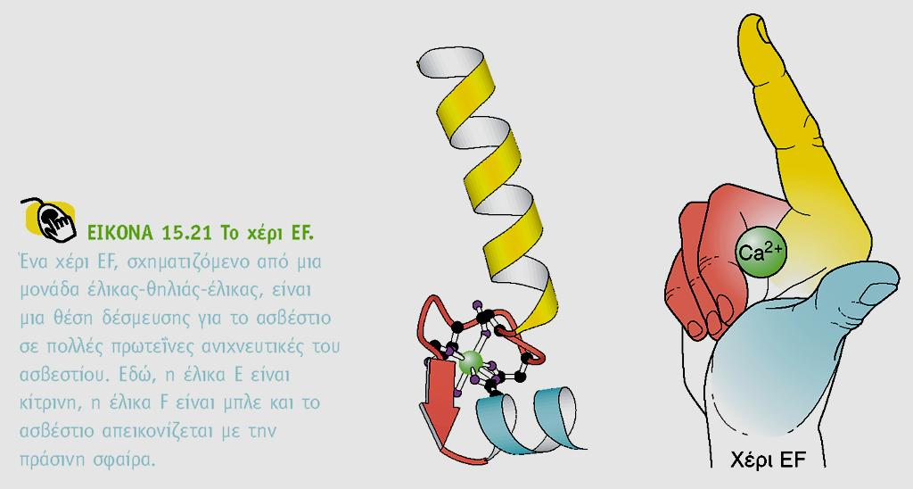 BIOXHMEIA, TOMOΣ I ΠANEΠIΣTHMIAKEΣ EKΔOΣEIΣ