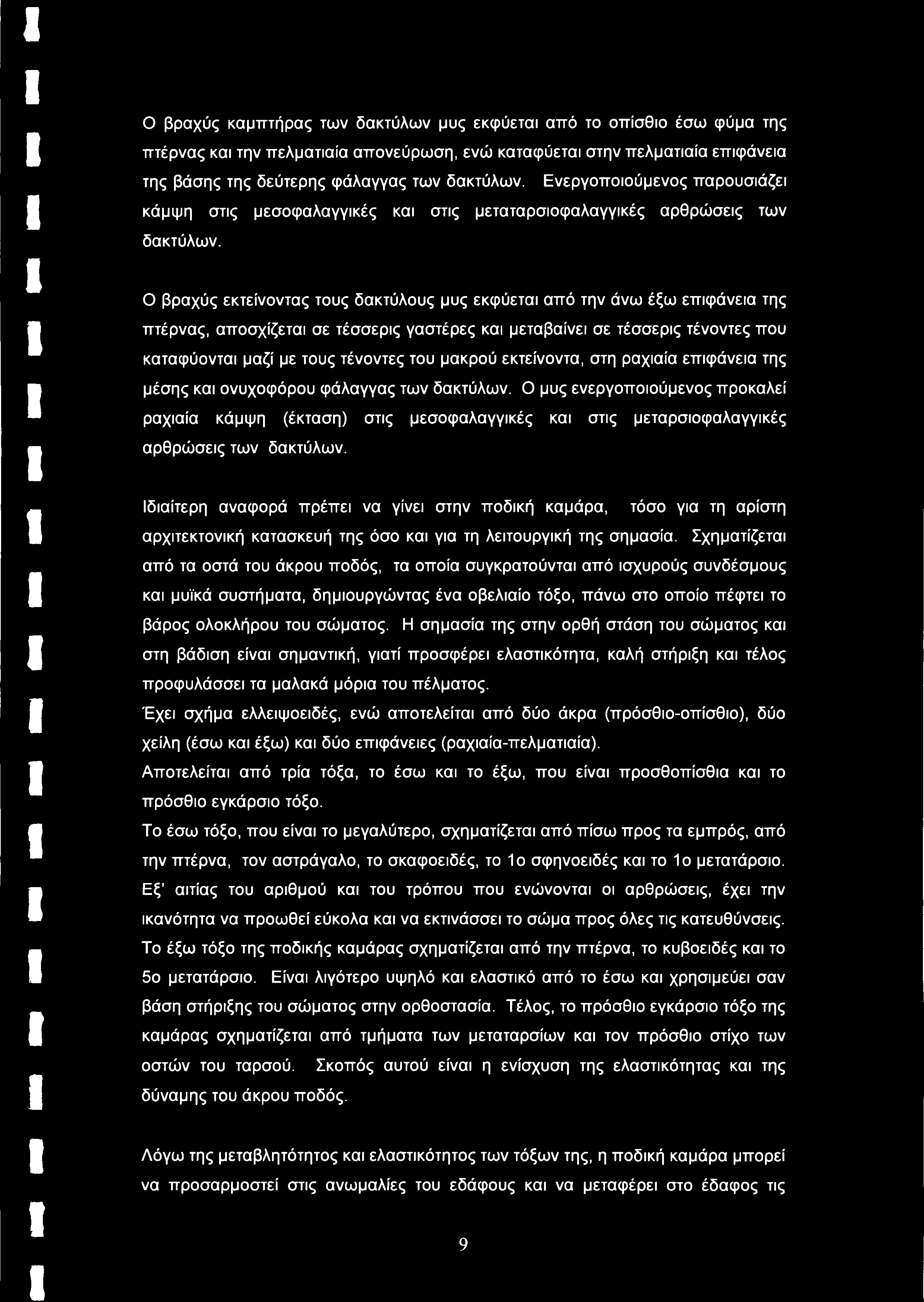 Ο βραχύς εκτείνοντας τους δακτύλους μυς εκφύεται από την άνω έξω επιφάνεια της πτέρνας, αποσχίζεται σε τέσσερις γαστέρες και μεταβαίνει σε τέσσερις τένοντες που καταφύονται μαζί με τους τένοντες του