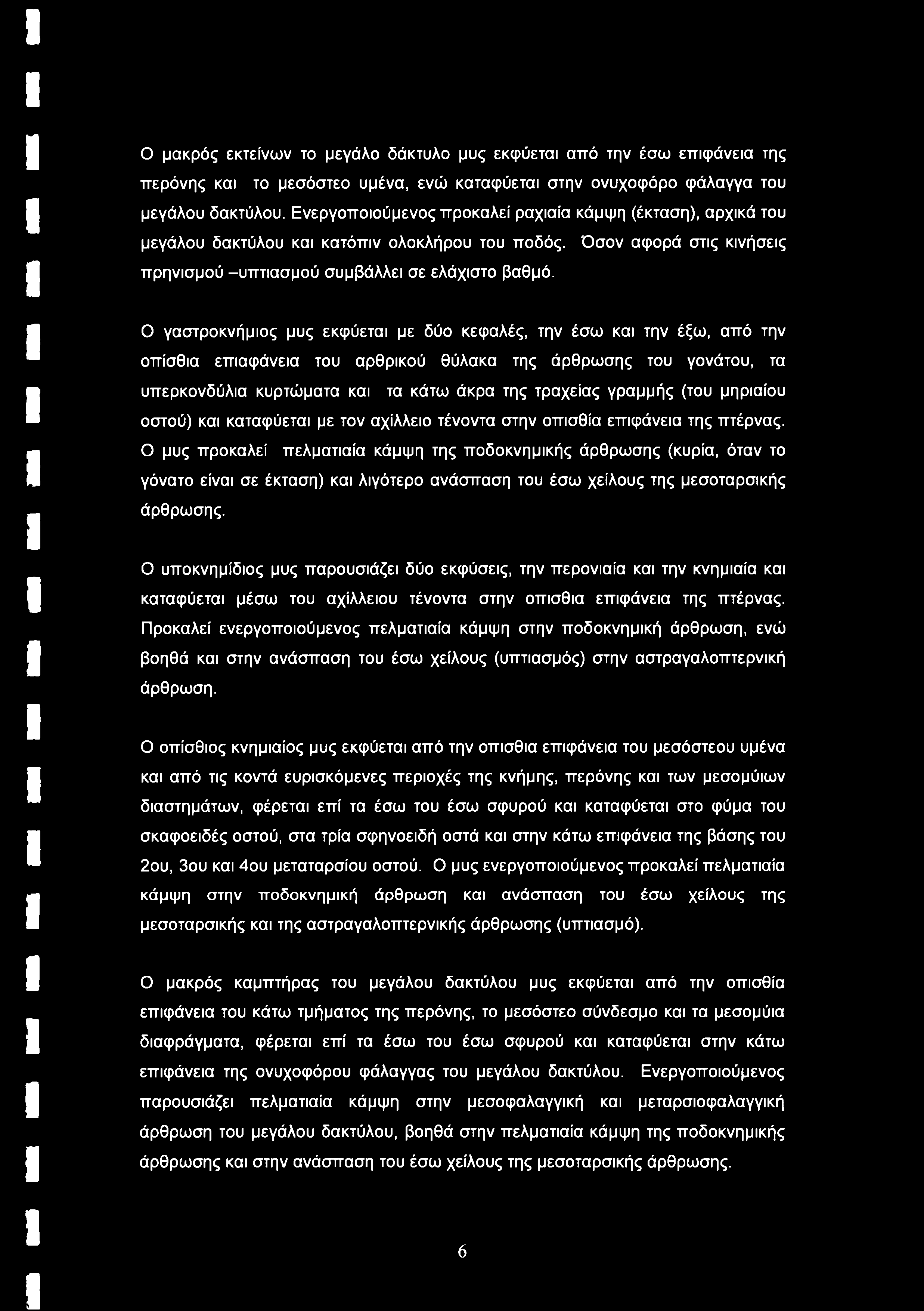 Ο γαστροκνήμιος μυς εκφύεται με δύο κεφαλές, την έσω και την έξω, από την οπίσθια επιαφάνεια του αρθρικού θύλακα της άρθρωσης του γονάτου, τα υπερκονδύλια κυρτώματα και τα κάτω άκρα της τραχείας