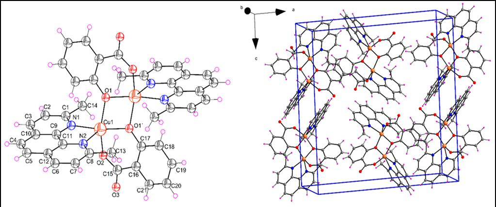 Kucková и сарадници описали су синтезу тернарних комплекса бакра(ii) са 2,9-диметил-1,10-фенантролином неокупроином (neo) и салицилном киселином (sal) при чему је добијен бинуклеарни комплекс који