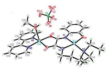 Gölcü и сарадници приказали су синтезу бинуклеарног комплекса бакра(ii) са антихипертензивом пиндололом. Пиндолол се понаша као бидентатни лиганд са азотом и кисеоником као донорским атомима.