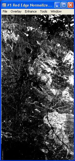 Δείκτης NDVI 705 (Red Edge Normalized Difference Vegetation Index) NDVI 705 = (ρ 750 ρ 705 )/ (ρ 750 + ρ 705 ) Εικόνα 5.