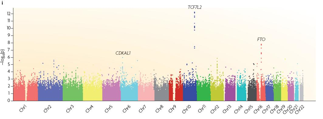 genotyping (0,5M) Δθμιουργία