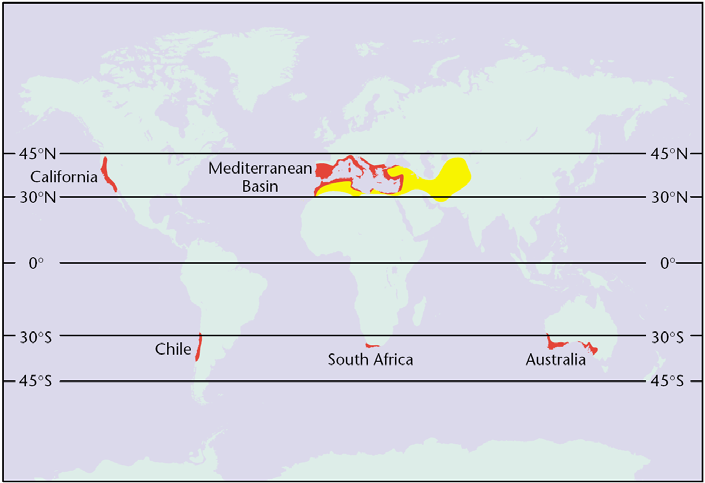 Chapter 2 climate is very recent in geological terms and first appeared approximately 3.2 million years ago during the Pliocene (Di Castri and Mooney 1973).