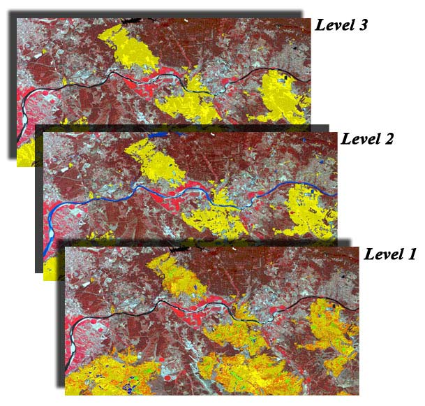 Chapter 5 Figure 5.