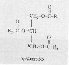 Τριεστέρας της γλυκερόλης (γλυκερίνης) με λιπαρά οξέα.