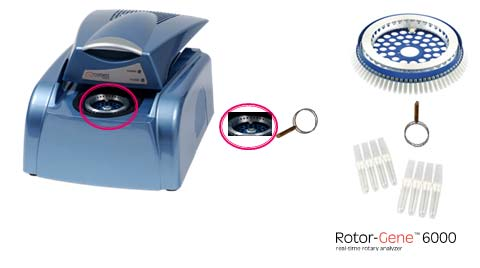 Εικόνα 45. O εξοπλισμός για την Real Time PCR: Rotor Gene 6000 Για την διεξαγωγή της Real Time PCR απαιτούνται: Το μόριο DNA που θα χρησιμοποιηθεί ως μήτρα αντιγραφής.