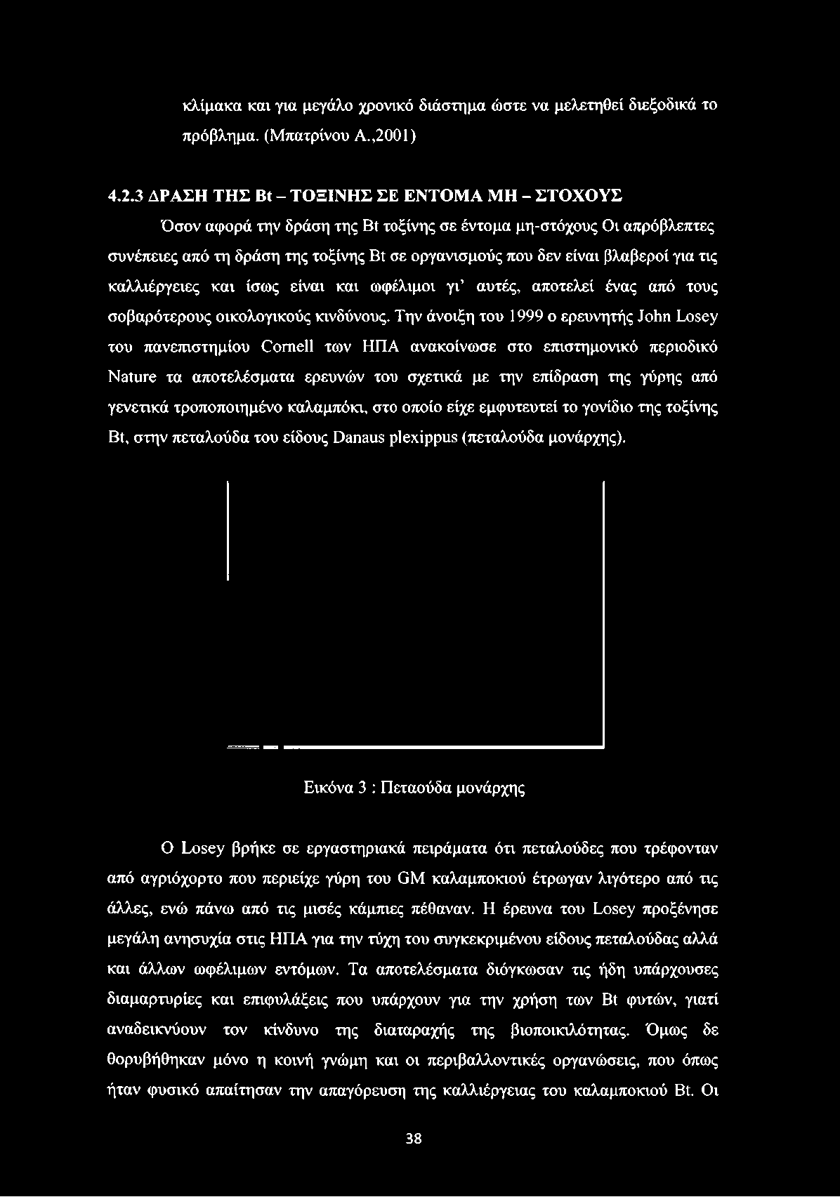 3 ΔΡΑΣΗ ΤΗΣ Bt - ΤΟΞΙΝΗΣ ΣΕ ΕΝΤΟΜΑ ΜΗ - ΣΤΟΧΟΥΣ Όσον αφορά την δράση της Bt τοξίνης σε έντομα μη-στόχους Οι απρόβλεπτες συνέπειες από τη δράση της τοξίνης Bt σε οργανισμούς που δεν είναι βλαβεροί για