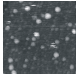 Η παρατηρηθείσα συσπείρωση µπορεί να εξηγηθεί µε την ωρίµανση Ostwald [93]. ( α ) ( β) Σχήµα 3.44: (α) Εικόνα STM της τοπογραφίας της επιφάνειας Pt/ΤiO 2 (11)-(1xn) για κάλυψη µετάλλου.