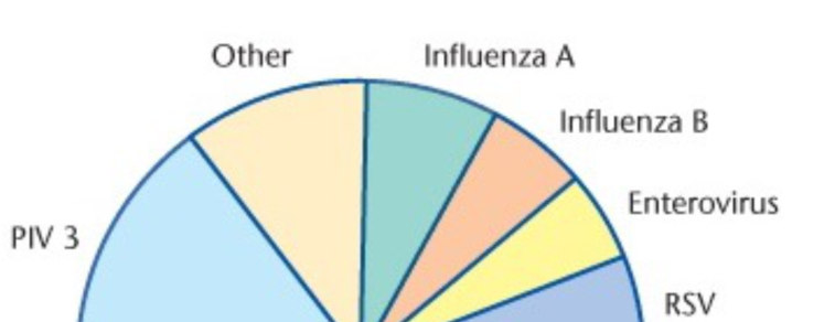 Τα συμπτώματα της οξείας λαρυγγίτιδας οφείλονται σε απόφραξη του ανώτερου αναπνευστικού που εμφανίζονται στα πλαίσια λοίμωξης, συνηθέστερα από ιό παραγρίπης 1, 2 ή 3.
