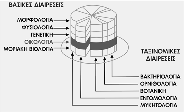 Ορισμοί Οικολογίας Κατά Odum (1971): η μελέτη των σχέσεων των οργανισμών ή ομάδων οργανισμών με το περιβάλλον τους ή η επιστήμη των σχέσεων μεταξύ ζώντων οργανισμών και του περιβάλλοντός τους.