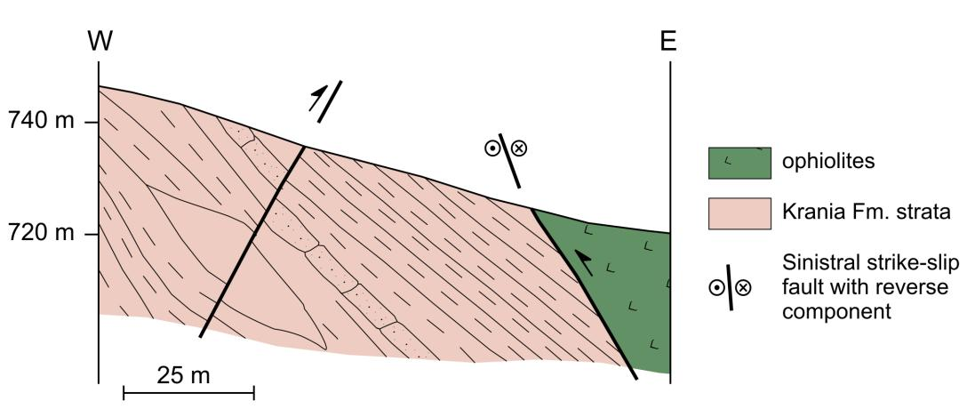 In that northern-most small area, west of Spileo village, Krania Formation is enclosed by ophiolites and the overlying Cretaceous limestones which seem to form a positive flower-shaped structure (Fig.