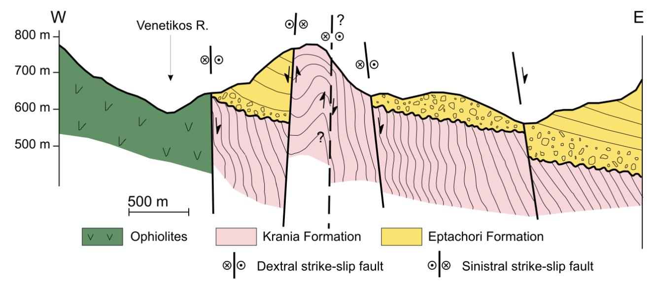 At the southern side of this fault (i.e. south of the village Trikomo ), and also near the contact with ophiolites, Krania strata is observed again with a waving along bedding, apparently due to tectonic activity (Fig.