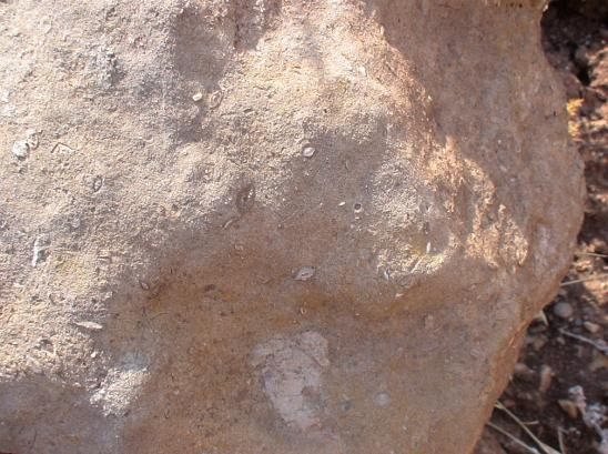 The western contact of the sub-basin, between the basement rocks (Cretaceous limestones and ophiolites) and the Eocene strata is