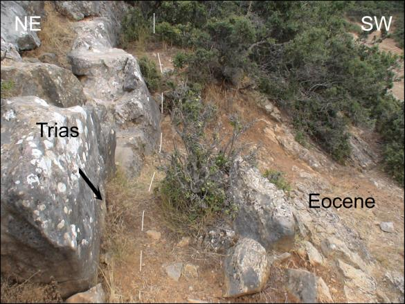 Normal faults observed in the area of Nea Zoi village, and striking NW-SE, cut both the Triassic