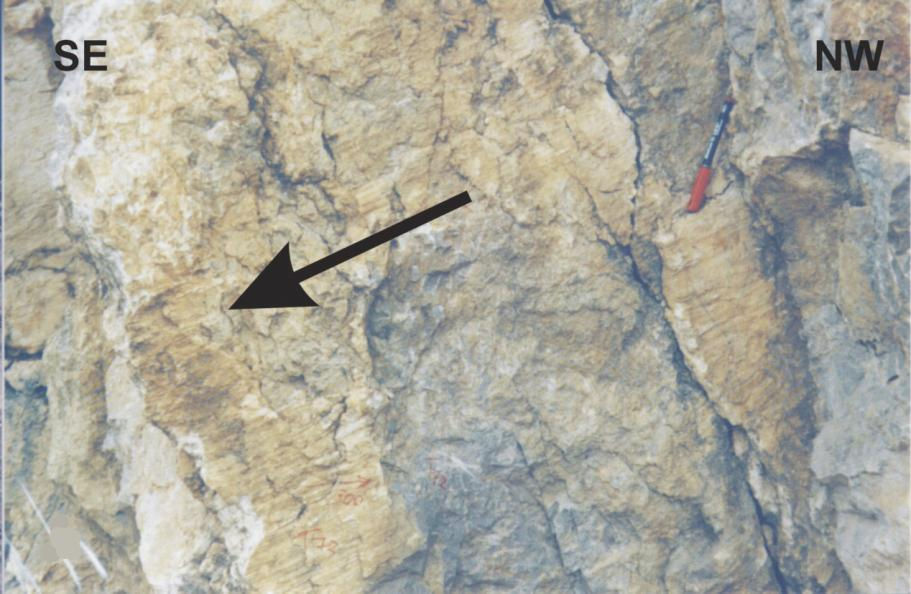 Eocene strata of Krania Fm to west (left edge of second photo). Pict. 31.