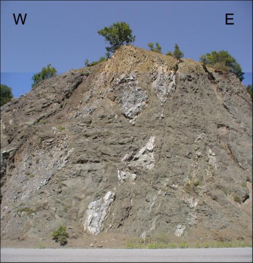 Jurassic-Lower Cretaceous limestones of the western MHT boundary, west of