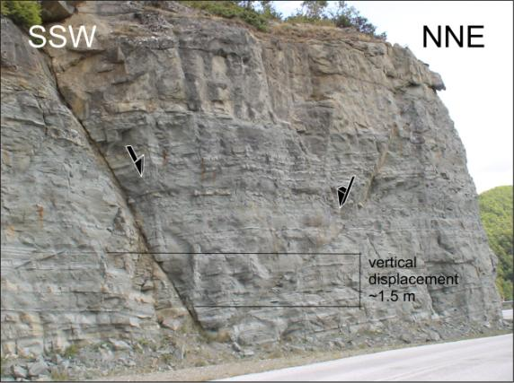 Normal faults trending approximately E-W, in Pentalophos and Eptachori