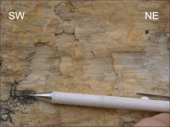 38, number 3), cutting the Miocene deposits and the ophiolites outcropping there.