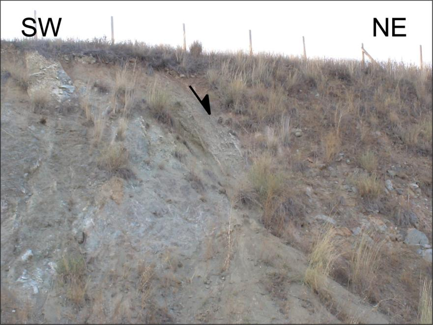 Approximately at the middle of the trough, west of Taksiarchis village, a normal fault of the same NNW-SSE orientation occurs between an ophiolitic outcrop and the Quaternary deposits (Pict.