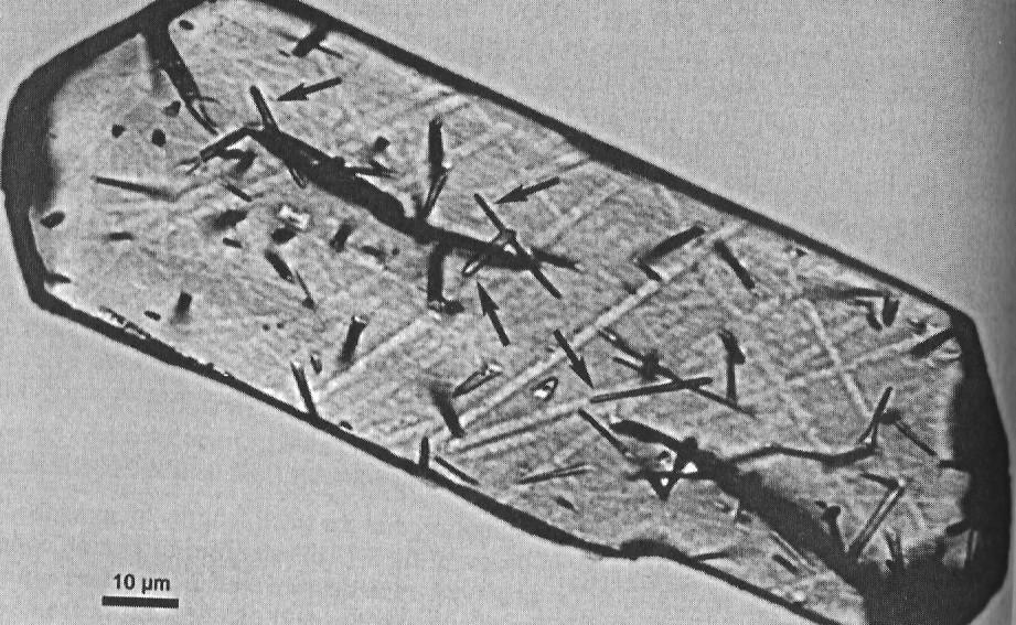 Fig. 7. Etched spontaneous fission tracks in an apatite crystal. 4.2. Age calculation The method of fission track dating relies on the determination of the relative abundance of the parent (i.e. 238 U) and the daughter product (i.