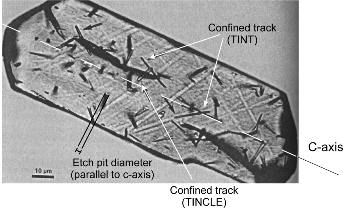 Fig. 8. Etched spontaneous fission tracks in an apatite crystal. Etch pits are parallel to c-axis. Confined tracks and the dpar (etch pit) are pointed out on the picture.