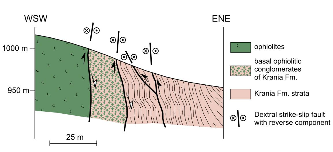 Fig. 23. Cross section at the contact of ophiolites with Krania Fm. strata, at Krania village (number 1 in figure 20).