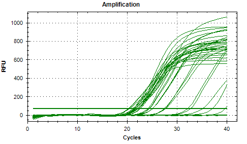 2.3 qrt-pcr πραγματικού χρόνου για τα γονίδια ABL και σαρβαβίνη Παρουσιάζονται οι καμπύλες ενίσχυσης (amplification plot) του γονιδίου στόχου μας από τις διάφορες κυτταρικές σειρές.