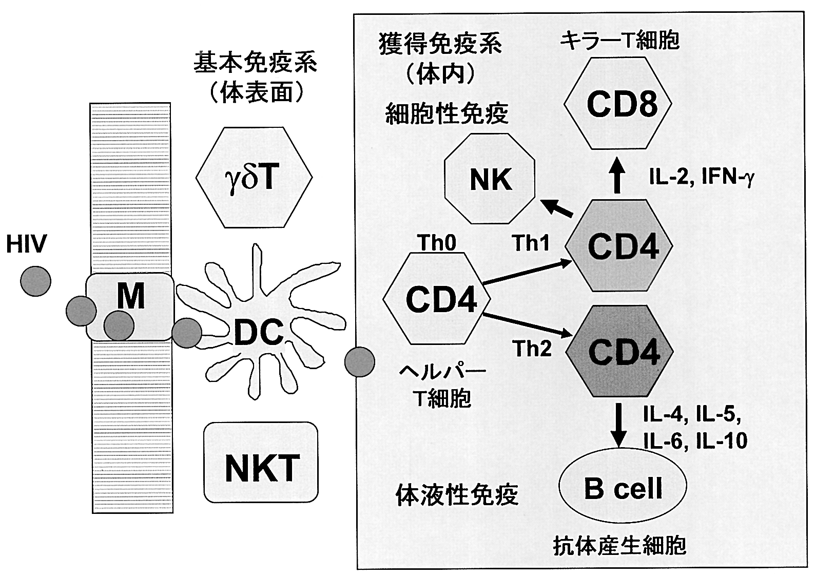 The Journal of AIDS Research Vol. 0,**. W EP 6 ῌ, + No., X ) 56YZ [2\,* TLR 6*i "a ] TLR + : TLR, 6= Q 3 *i "7 TLR, :?