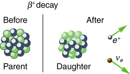 12 Διάσπαση β + Κατά την β + διάσπαση ο μητρικός πυρήνας μεταστοιχειώνεται στον θυγατρικό εκπέμποντας ένα e + και ένα νετρίνο του ηλεκτρονίου Η β + διάσπαση περιγράφεται ως εξής: και η διάσπαση του
