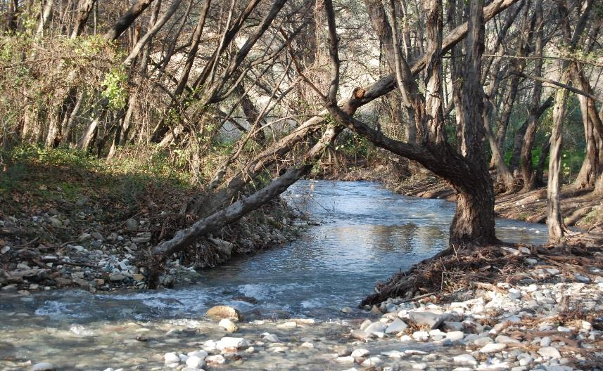 Τύποι Μέτρων Διαχείρισης που δύναται να προταθούν.