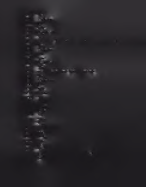 1015010 Μυς 1015020 Λιπώδης ιστός 1015030 Ήπαρ 1015040 Νεφροί 1015050 Βρώσιμα εντόσθια 1015990 Αλλα 1016000 στ) Πουλερικά - κοτόπουλα, χήνες, πάπιες, γαλοπούλες και φραγκόκοτες - στρουθοκάμηλοι,