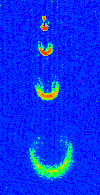 Technology for quantum information Manipulation of single atoms and single photons