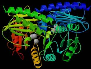 Drug Design