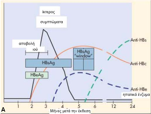 Εικόνα 12. Α. Ορολογικά γεγονότα συνδεόμενα με την τυπική πορεία της οξείας ηπατίτιδας. Β.