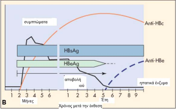 H κλασσική ορολογική διάγνωση είναι δυσχερής όσο διαρκεί το παράθυρο το HBsAg, όταν δεν ανιχνεύεται ούτε το anti-hbs 176.