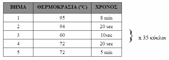 Εικόνα 13. Πρωτόκολλο προετοιμασίας Master Mix για PCR για τον ιό της ηπατίτιδας Β, το οποίο χρησιμοποιήθηκε στη μελέτη μας. Πίνακας 9.