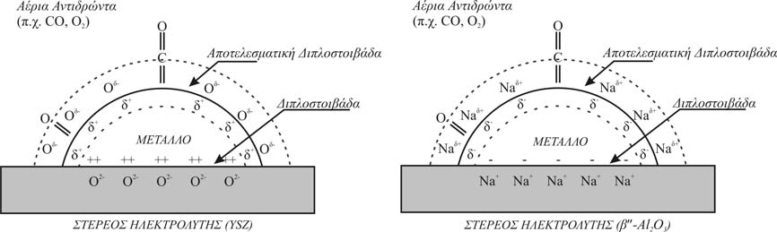 Το φαινόµενο της ηλεκτροχηµικής ενίσχυσης Σχ. 1.6. Σχηµατική αναπαράσταση ενός µεταλλικού ηλεκτροδίου εναποτεθειµένο σε στερεό ηλεκτρολύτη (YSZ, αγωγός ιόντων Ο 2 - ή β"-al 2 O 3 αγωγός ιόντων Να + ).