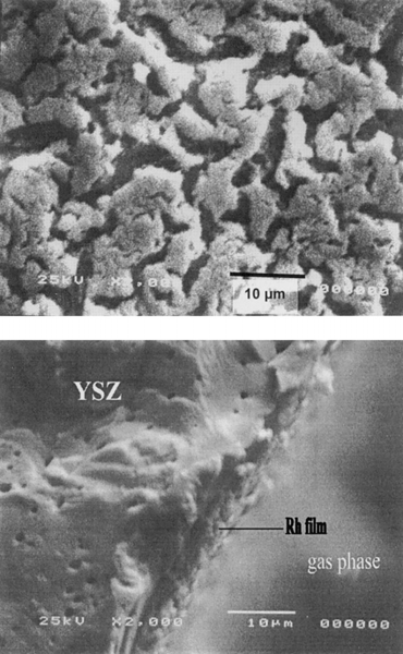 Αναγωγή του NO από CO σε Rh/YSZ Η µορφολογία των πολυκρυσταλλικών στρωµάτων Rh ερευνήθηκε µε τη µικροσκοπία ηλεκτρονικής σάρωσης (SEM). Το Σχήµα 3.