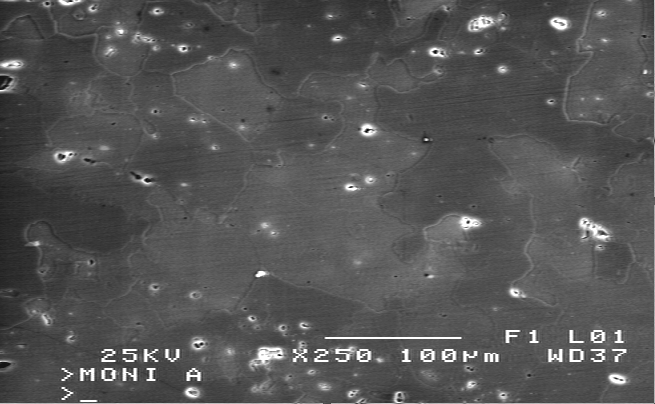 3 1 2 α-al Εικόνα 2.14. Επιφανειακή μικρογραφία δοκιμίου του κράματος αλουμινίου 7075 χωρίς προσθήκη ζιρκονίου, από Ηλεκτρονικό Μικροσκόπιο Σάρωσης. Όπως φαίνεται στην εικόνα 2.