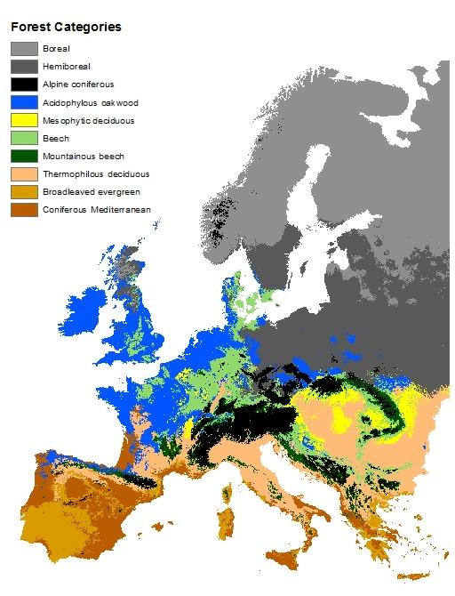 Εφαρμογές στη Δασολογία