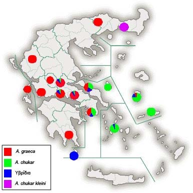 Βάσει του Πίνακα Δ.1.3.