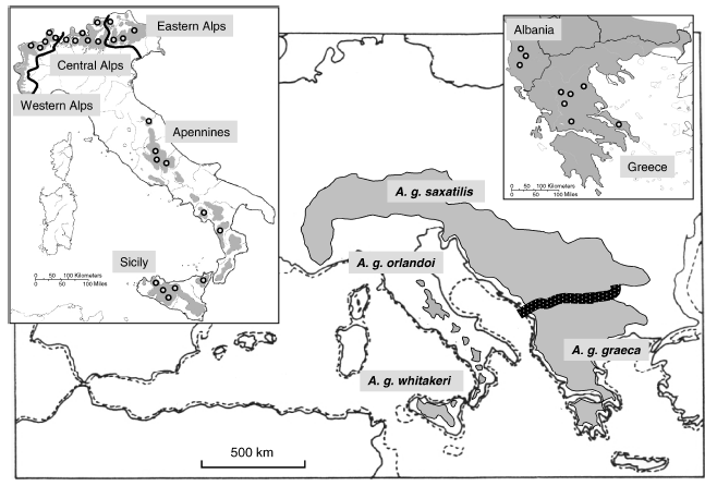 τα είδη A. graeca και A. chukar στα όρια Ελλάδας Βουλγαρίας (Watson, 1962a, Bernard Laurent, 1984). Το είδος Alectoris graeca ζει σήμερα στις ορεινές περιοχές των Άλπεων και των Βαλκανίων (Πίνακας Α.